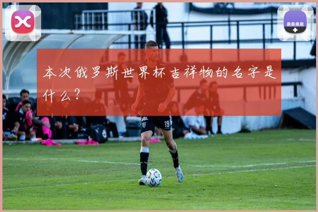 本次俄罗斯世界杯吉祥物的名字是什么？