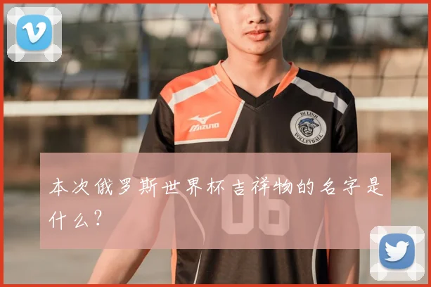 本次俄罗斯世界杯吉祥物的名字是什么？