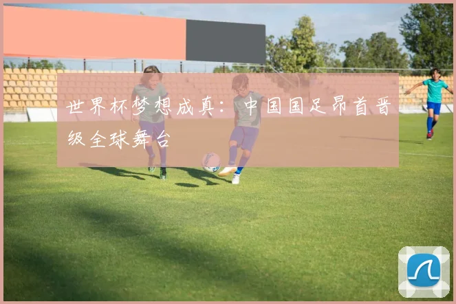 世界杯梦想成真：中国国足昂首晋级全球舞台