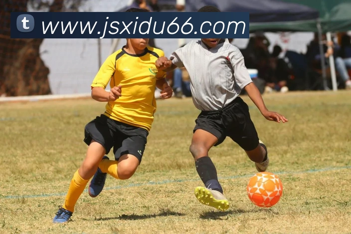 米兰在线登录入口网址品牌故事