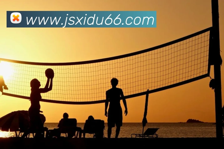 米兰在线登录入口网址服务体系