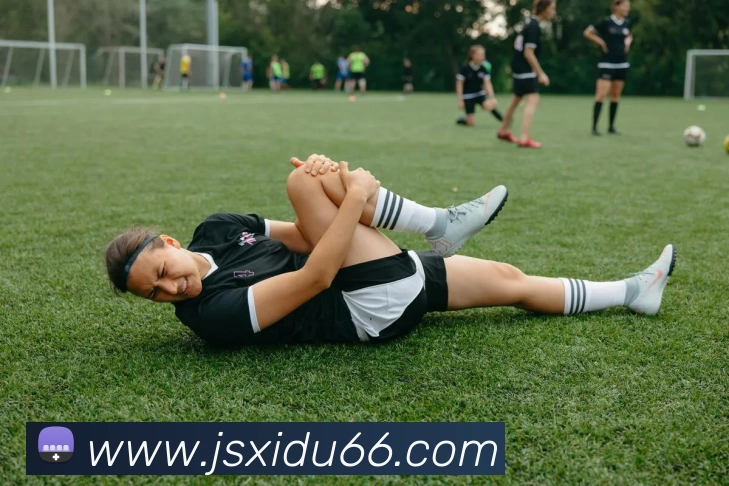 多媒体互动体验